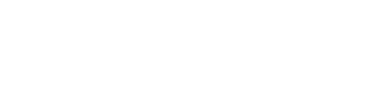 Demosphere Logo