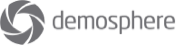 Demosphere Logo (Grey)